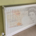 Picture of radiator with £10 note on it