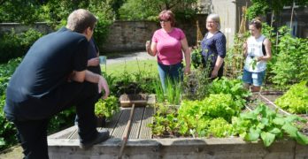 Picture of people gardening