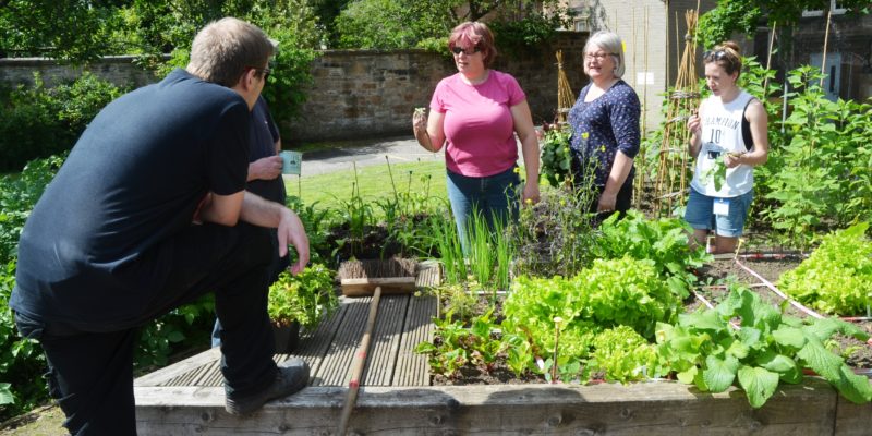 Picture of people gardening